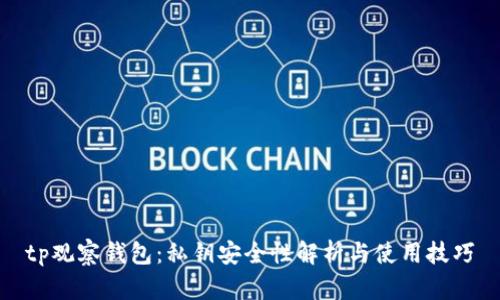tp观察钱包：私钥安全性解析与使用技巧