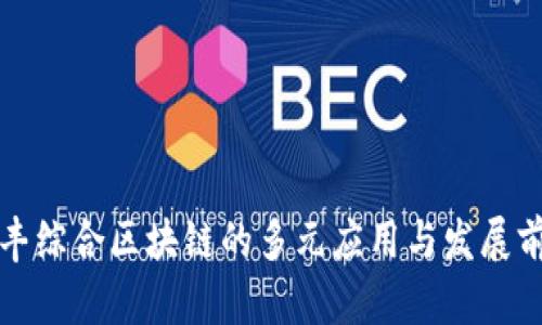 信丰综合区块链的多元应用与发展前景