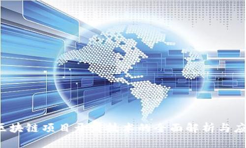  区块链项目开发技术的全面解析与应用