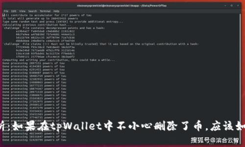 深度解析：如果在tpWallet中不小心删除了币，应该如何恢复？